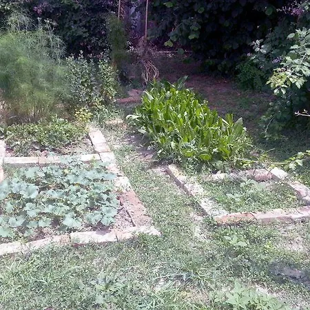 Agrituristico Dodici-apostoli Casumaro