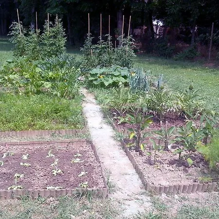 Agrituristico Dodici-apostoli Casumaro