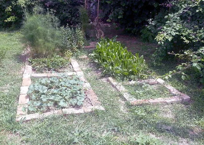 Agrituristico Dodici-apostoli Casumaro